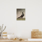 Portrait einer Taube Poster (Küche)