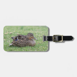 Portrait einer weiblichen Mallard Gepäckanhänger