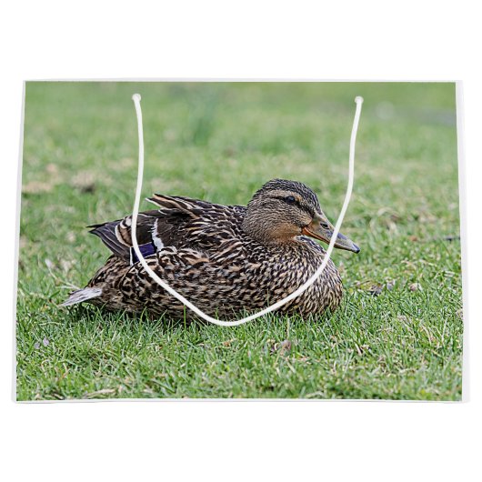 Portrait einer weiblichen Mallard Große Geschenktüte (Vorderseite)