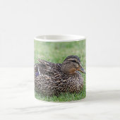 Portrait einer weiblichen Mallard Kaffeetasse (Mittel)