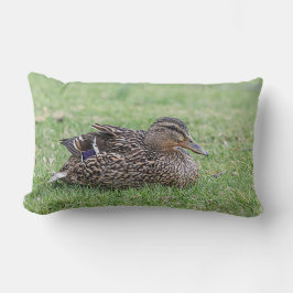 Portrait einer weiblichen Mallard Lendenkissen