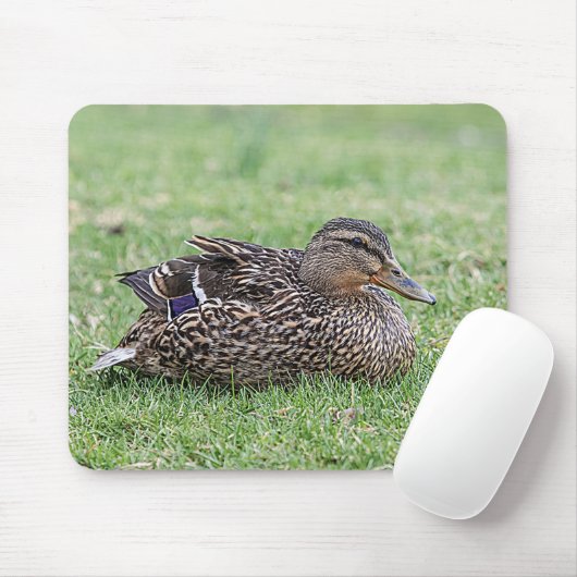 Portrait einer weiblichen Mallard Mousepad (Mit Mouse)
