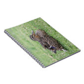 Portrait einer weiblichen Mallard Notizblock (Rechte Seite)