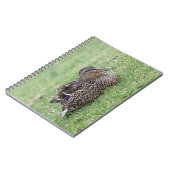 Portrait einer weiblichen Mallard Notizblock (Linke Seite)