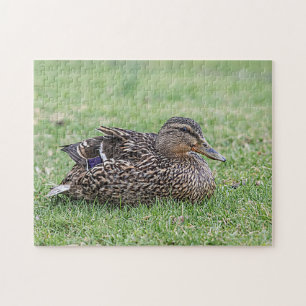 Portrait einer weiblichen Mallard Puzzle