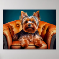 Portrait einer Yorkie