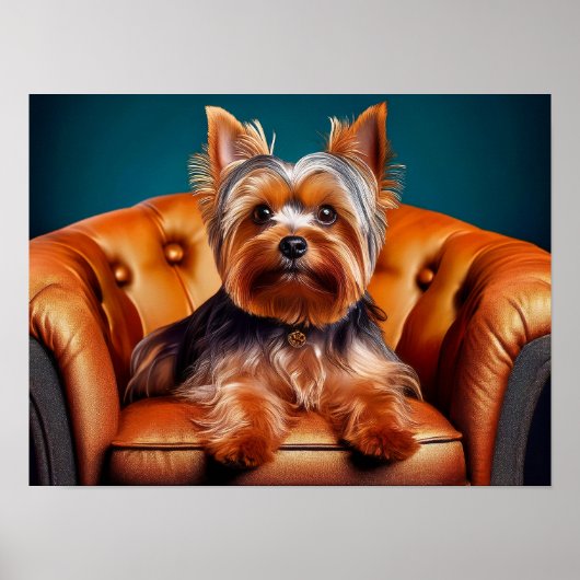 Portrait einer Yorkie Poster (Vorne)
