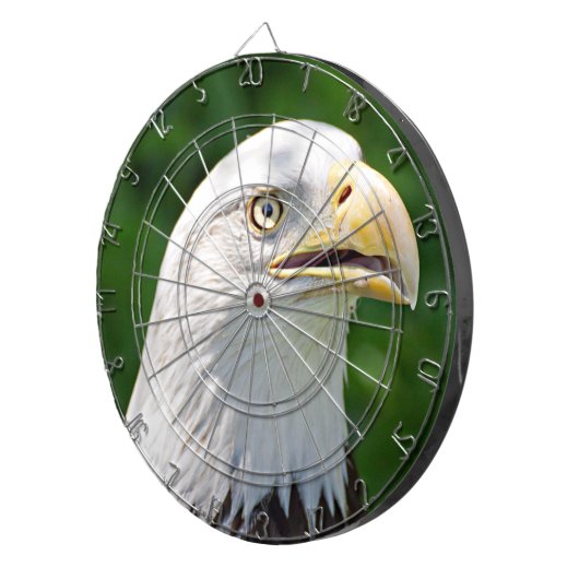 Portrait eines Bald-Adlers Dartscheibe (Vorderseite rechts)