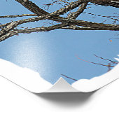 Portrait eines Bald-Adlers Fotodruck (Ecke)