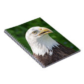 Portrait eines Bald-Adlers Notizblock (Rechte Seite)
