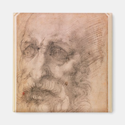 Portrait eines Barteten Magnet (Vorne)