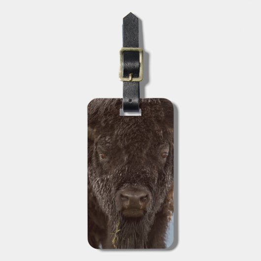 Portrait eines Bison Bulls im Regen Gepäckanhänger (Vorderseite vertikal)