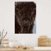 Portrait eines Bison Bulls im Regen Poster (Küche)