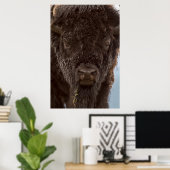Portrait eines Bison Bulls im Regen Poster (Heimbüro)