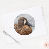 Portrait eines Blue-Winged-Aquamarin Runder Aufkleber (Umschlag)