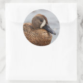 Portrait eines Blue-Winged-Aquamarin Runder Aufkleber (Tasche)