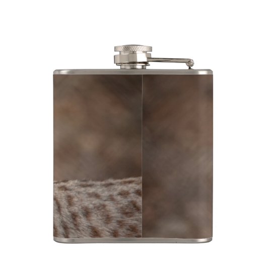 Portrait eines Bobcat Flachmann (Rückseite)