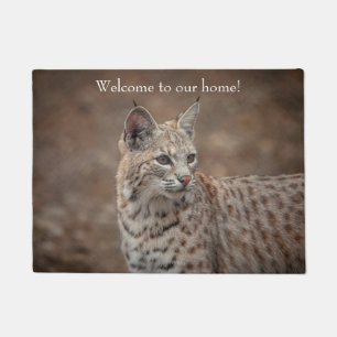 Portrait eines Bobcat Fußmatte