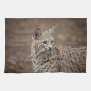 Portrait eines Bobcat Geschirrtuch