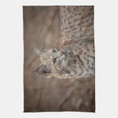 Portrait eines Bobcat Geschirrtuch (Vertikal)