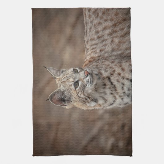 Portrait eines Bobcat Geschirrtuch (Vertikal)