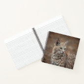 Portrait eines Bobcat Notizblock (Innenseite)