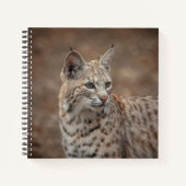Portrait eines Bobcat Notizblock (Vorderseite)