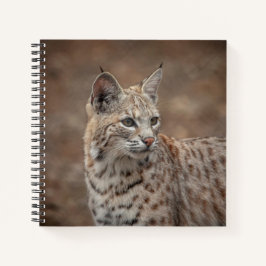 Portrait eines Bobcat Notizblock