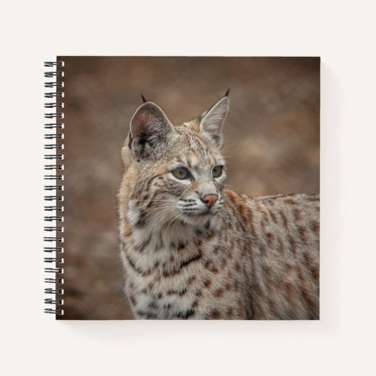 Portrait eines Bobcat Notizblock (Vorderseite)