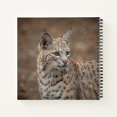 Portrait eines Bobcat Notizblock (Rückseite)
