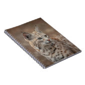 Portrait eines Bobcat Notizblock (Rechte Seite)