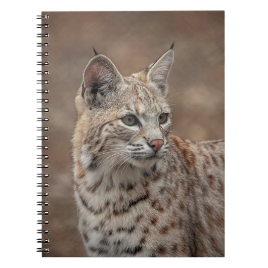 Portrait eines Bobcat Notizblock (Vorderseite)