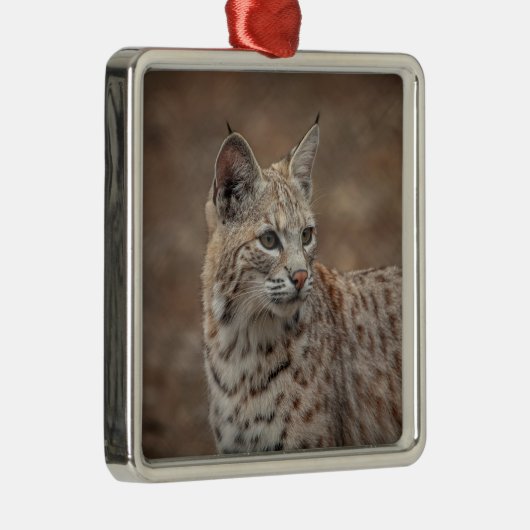 Portrait eines Bobcat Ornament Aus Metall (Rechts)