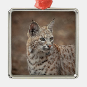 Portrait eines Bobcat Ornament Aus Metall