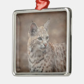 Portrait eines Bobcat Ornament Aus Metall (Links)