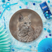 Portrait eines Bobcat Pappteller (Party)