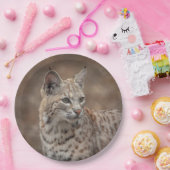 Portrait eines Bobcat Pappteller (Party)