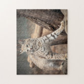Portrait eines Bobcat Puzzle (Vertikal)