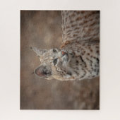 Portrait eines Bobcat Puzzle (Vertikal)