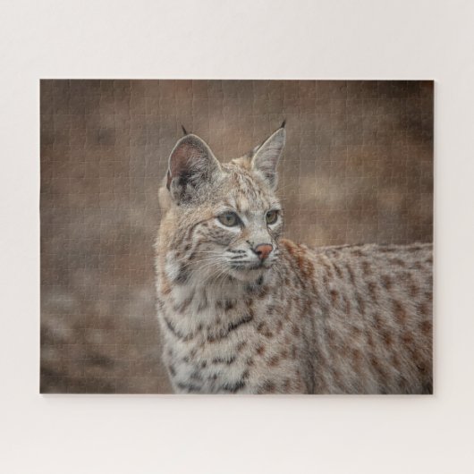 Portrait eines Bobcat Puzzle (Horizontal)