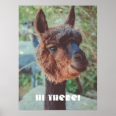 Portrait eines braunen Alpakas Poster (Vorne)