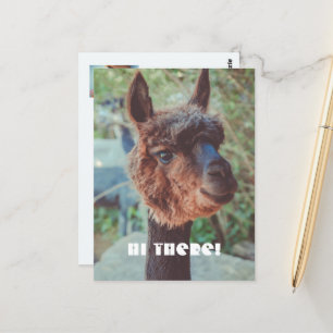 Portrait eines braunen Alpakas Postkarte