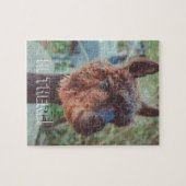 Portrait eines braunen Alpakas Puzzle (Horizontal)