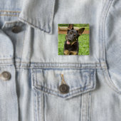 Portrait eines deutschen Hirten Button (Beispiel)