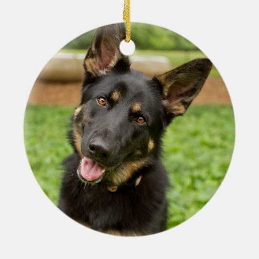 Portrait eines deutschen Hirten Keramik Ornament (Hinten)