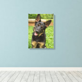 Portrait eines deutschen Hirten Leinwanddruck (Insitu (Holzboden))