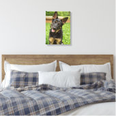 Portrait eines deutschen Hirten Leinwanddruck (Insitu (Schlafzimmer))