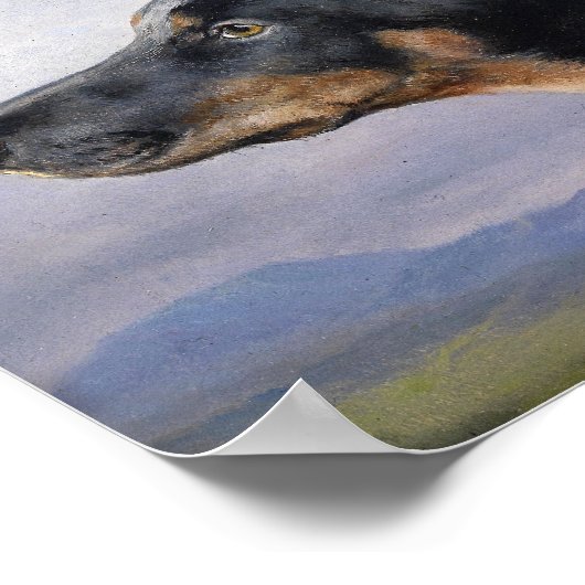 Portrait eines Doberman | Carl Reichert Poster (Ecke)