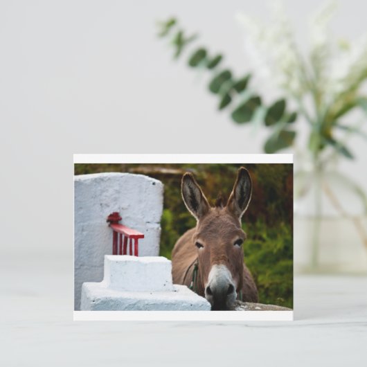 Portrait eines Donkey in Irland Postkarte (Stehend Vorderseite)