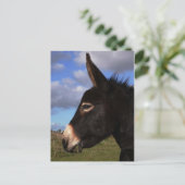 Portrait eines Esels Postkarte (Stehend Vorderseite)